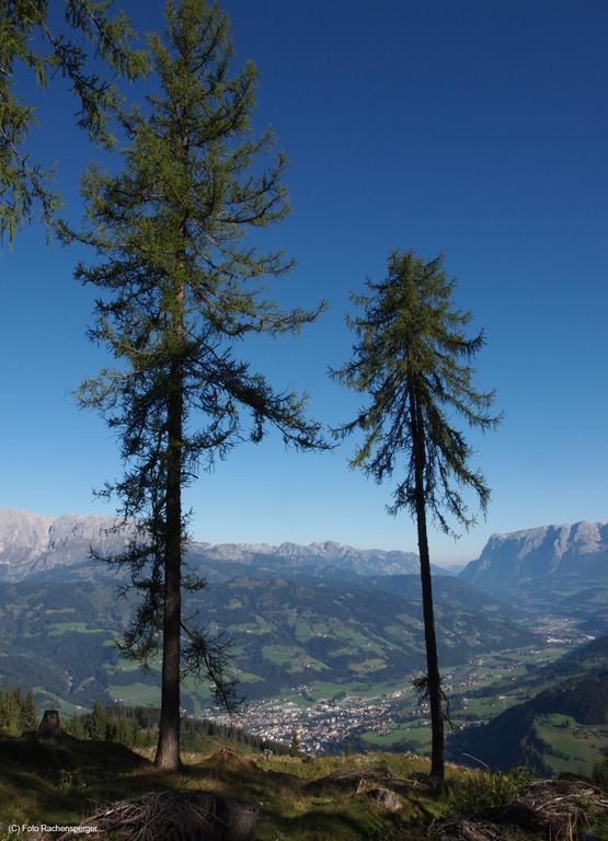 Hinterburgschwaig Hof Appartement Sankt Johann im Pongau Buitenkant foto